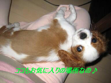 お気に入りの場所1