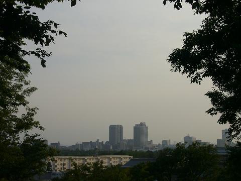 富士山ビューポイント