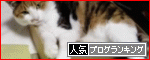 箱入りトゥさんバナー