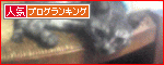 サイ君椅子の上バナー用