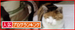 バック嫌!のトゥさん