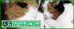 トゥさんスヤスヤバナー