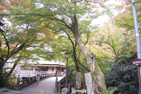 conv0008.jpg