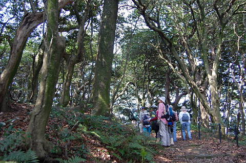conv0005.jpg