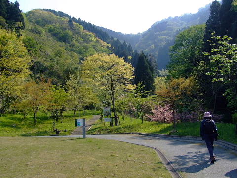 conv0041.jpg