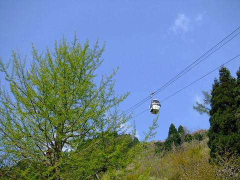 conv0057.jpg