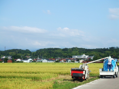 conv0003.jpg
