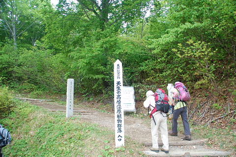 conv0181.jpg
