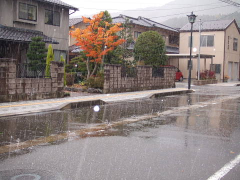 conv0040.jpg