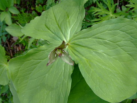conv0023.jpg