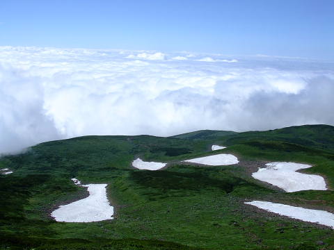conv0003.jpg