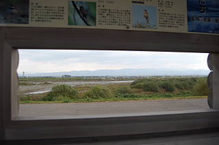 conv0005.jpg