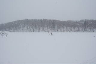 conv0056.jpg
