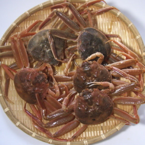 sg-koubako-g.jpg