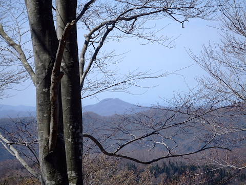 conv0095.jpg