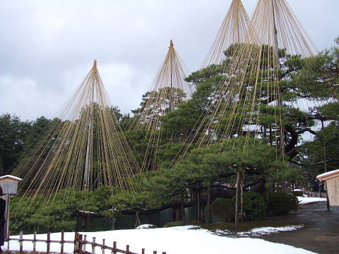 conv0054.jpg