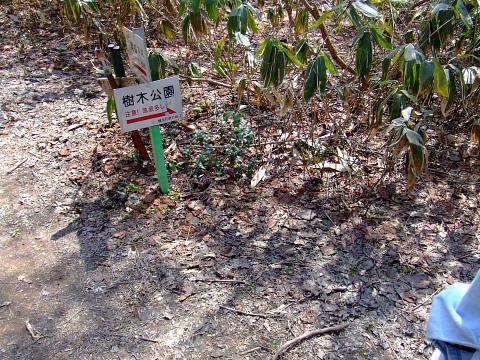 conv0036.jpg