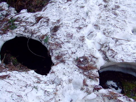conv0093.jpg