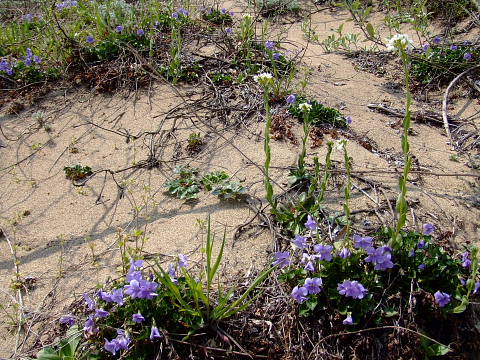 conv0119.jpg