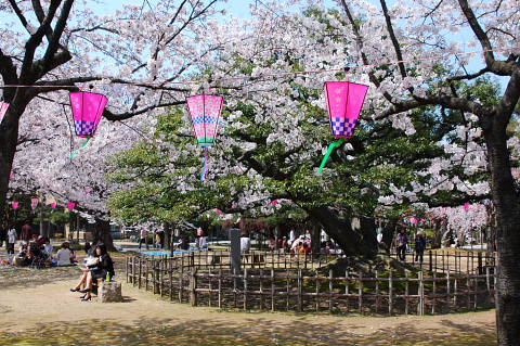 conv0054.jpg