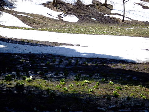 conv0089.jpg