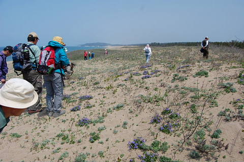 conv0114.jpg