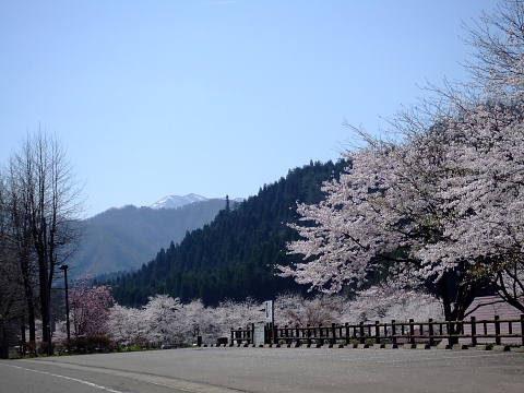 conv0085.jpg