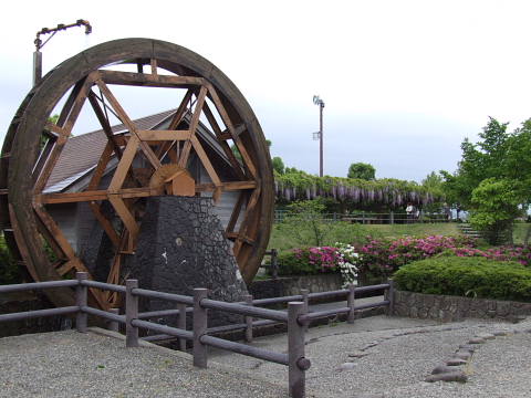 conv0099.jpg