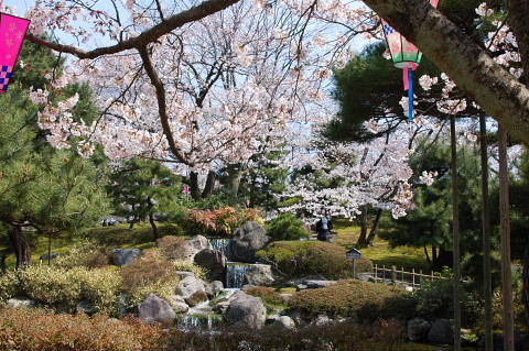 conv0061.jpg