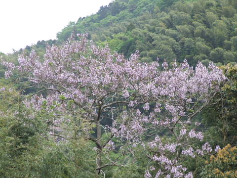 conv0098.jpg