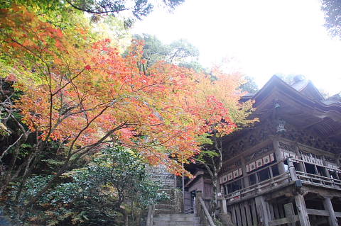 conv0010.jpg