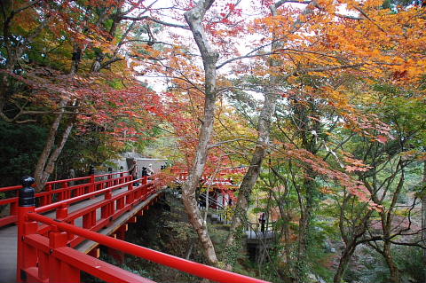 conv0011.jpg