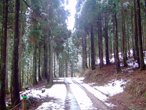 conv0008.jpg