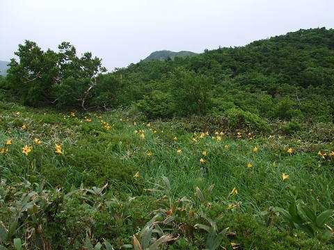 conv0105.jpg