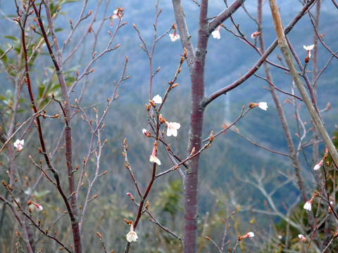 conv0019.jpg
