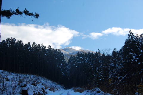 conv0011.jpg