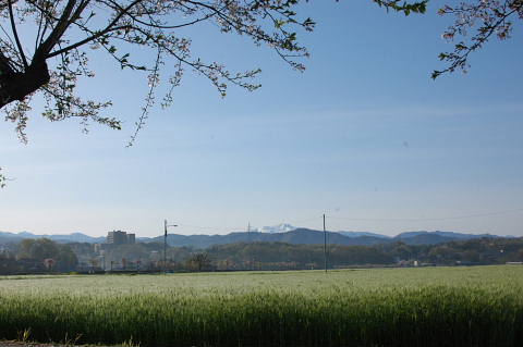 conv0072.jpg