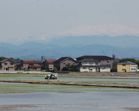 conv0075.jpg
