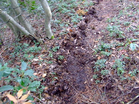 conv0024.jpg