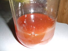 conv0005.jpg