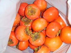 conv0054.jpg