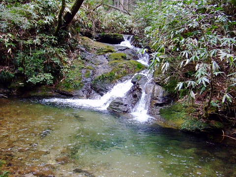 conv0030.jpg