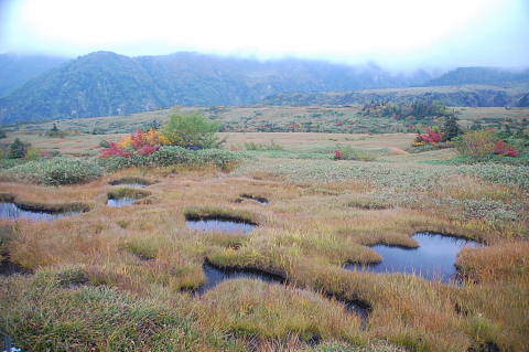 conv0075.jpg