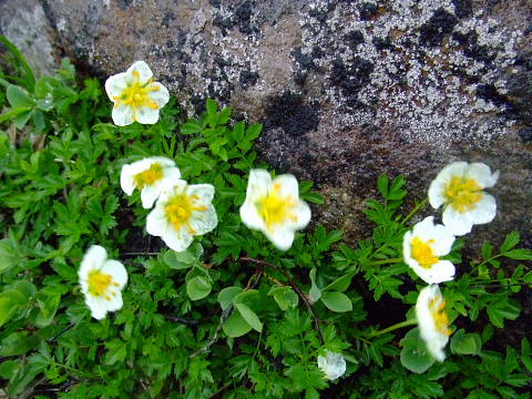 conv0146.jpg