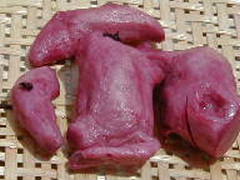 conv0217.jpg