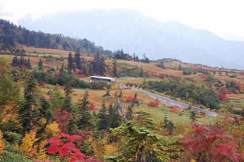 conv0063.jpg