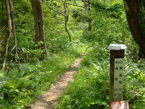 conv0094.jpg