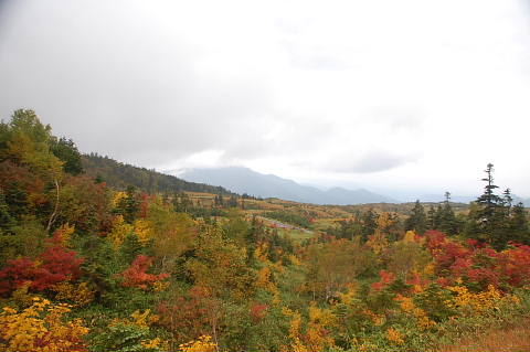 conv0062.jpg