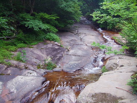 conv0110.jpg