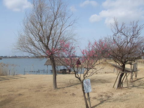 conv0051.jpg